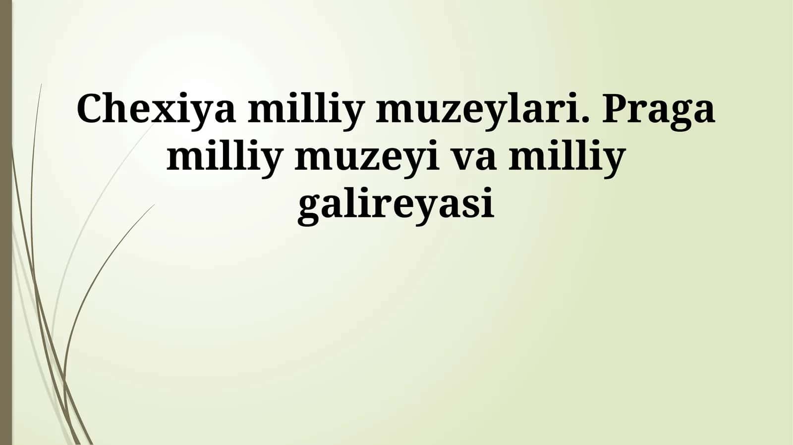 Chexiya milliy muzeylari. Praga milliy muzeyi va milliy galireyasi 1