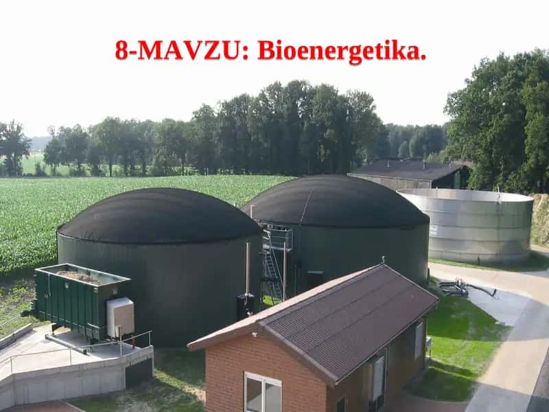 Bioenergetika 1