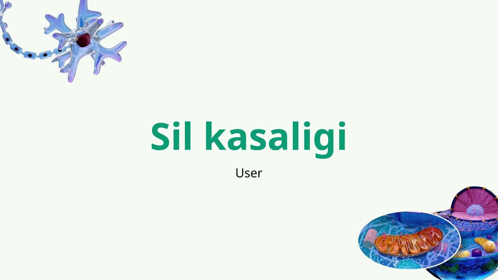 Sil kasaligi 1