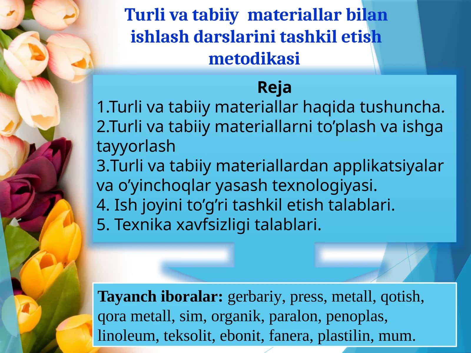 Turlivatabiiymateriallar bilan ishlash darslarini tashkil etish metodikasi 1
