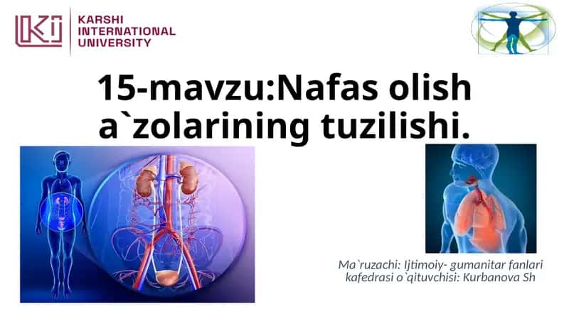 Nafas olish a`zolarining tuzilishi 1
