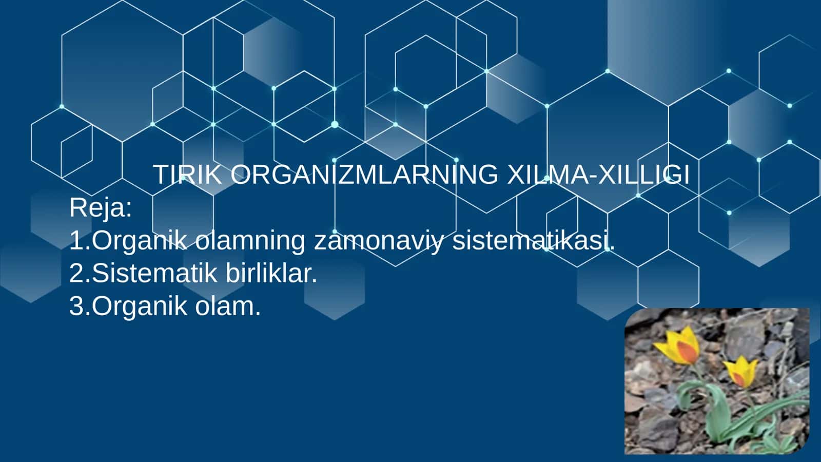 TIRIK ORGANIZMLARNING XILMA-XILLIGI 1
