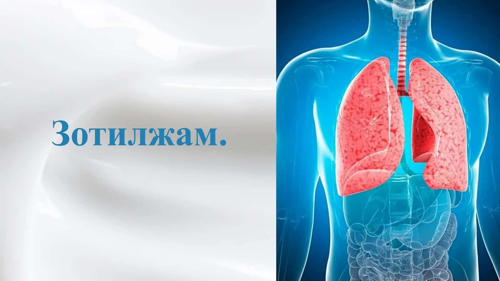 Зотилжам 1