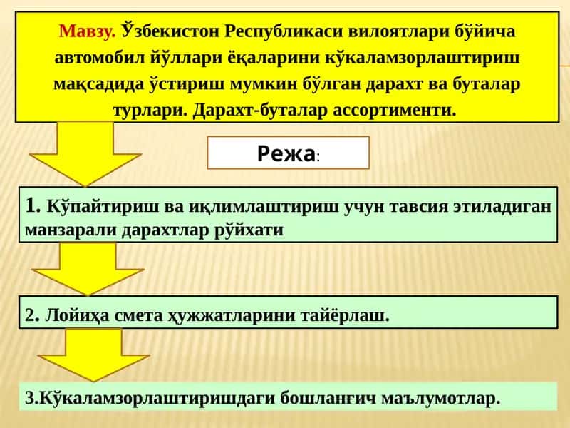 Автомобиль йўллари ёқаларини кўкаламзорлаштириш 1