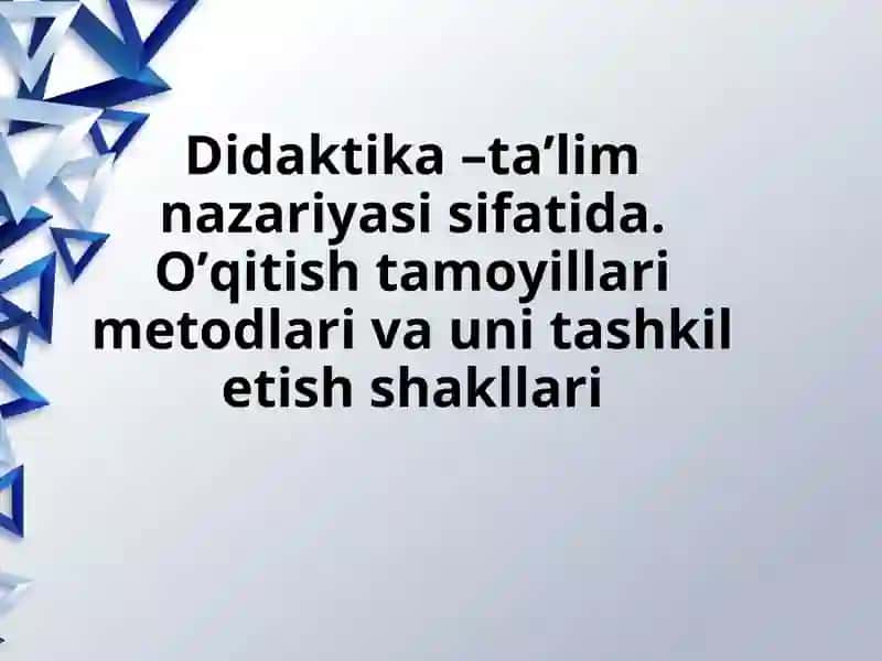 Didaktika