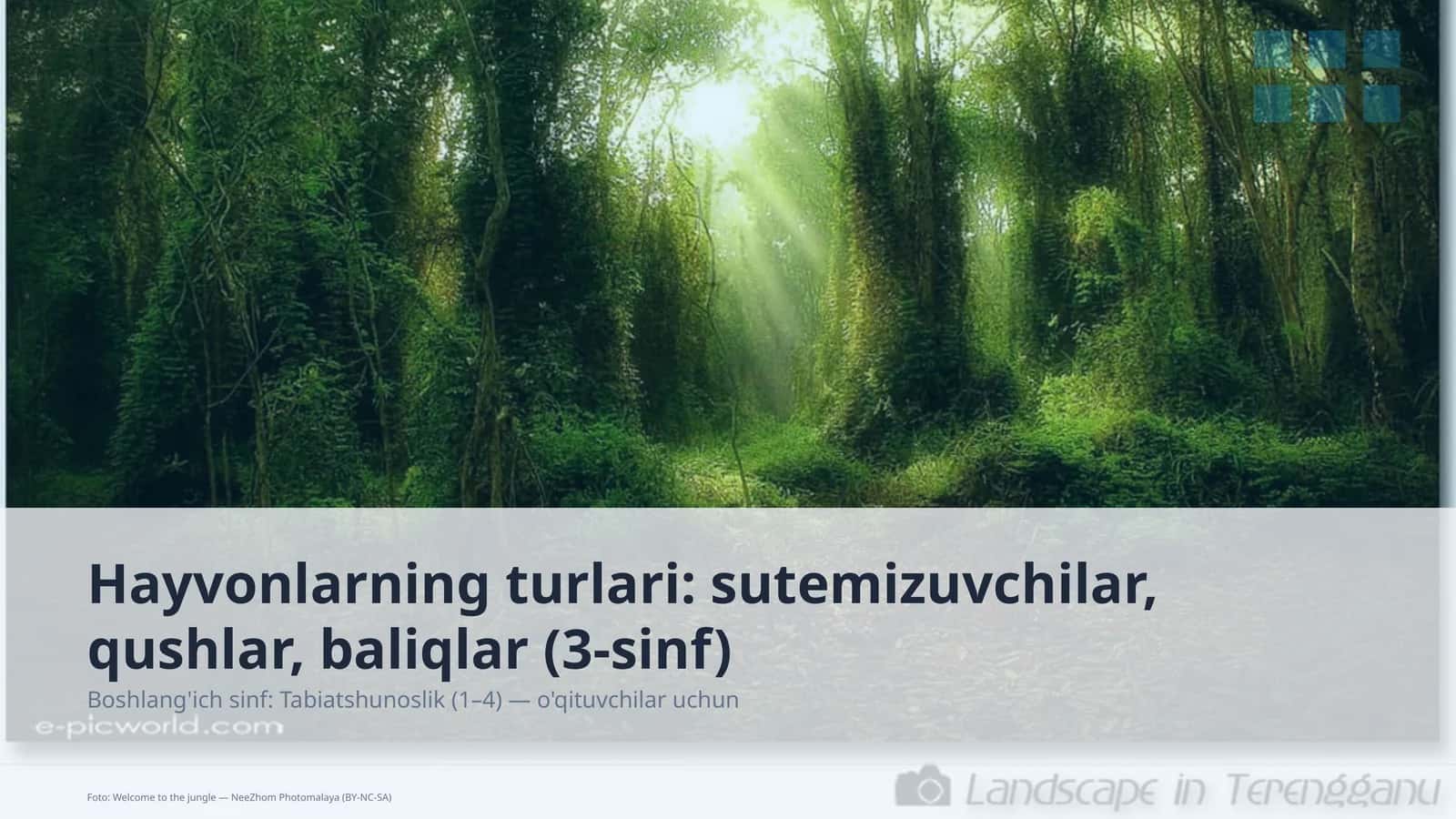 Hayvonlarning turlari: sutemizuvchilar, qushlar, baliqlar (3-sinf) 1