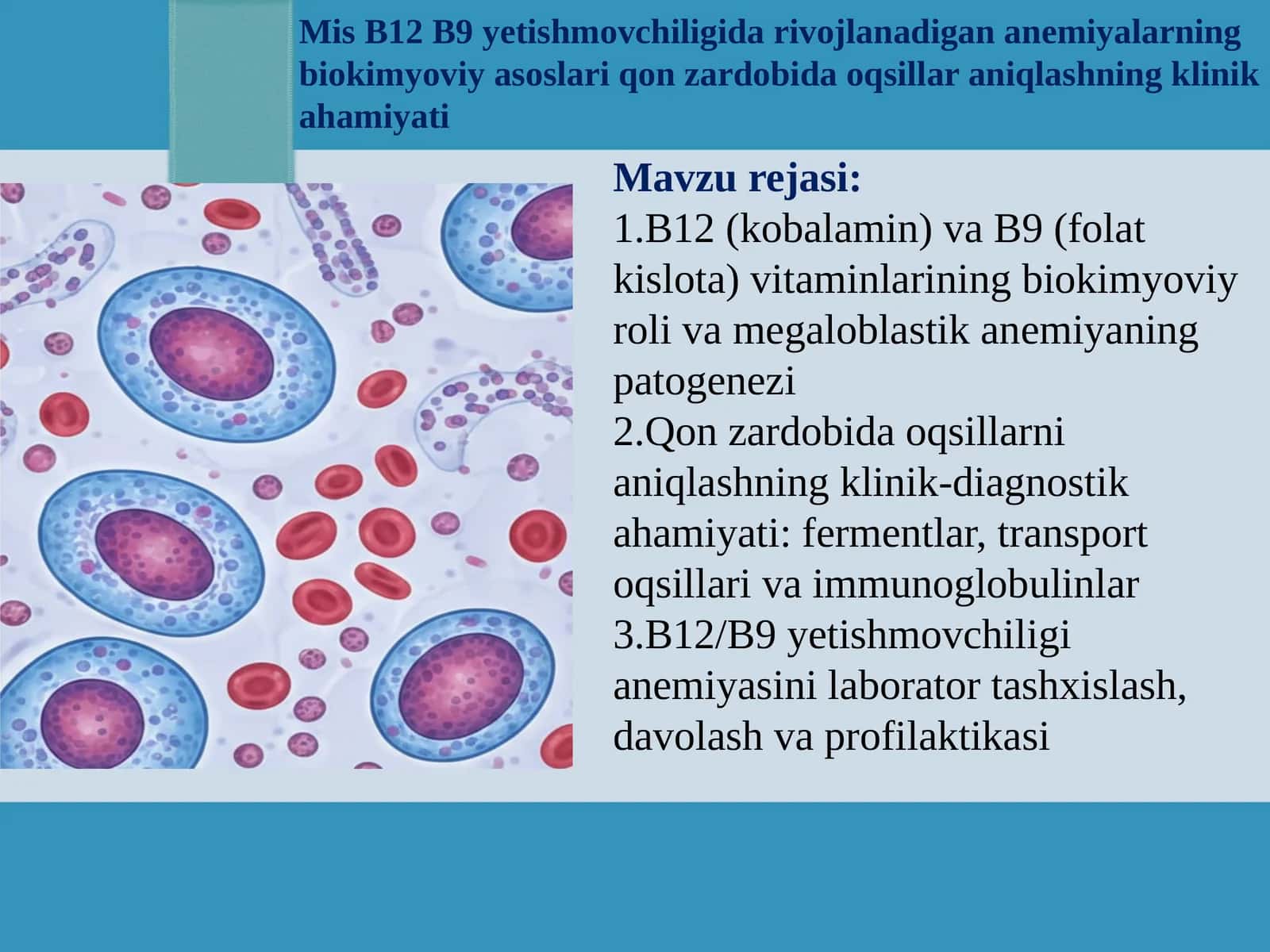 Mis B12 B9 yetishmovchiligida rivojlanadigan anemiyalarning biokimyoviy asoslari qon zardobida oqsillar aniqlashning klinik ahamiyati  prezentatsiya 1