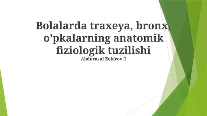 Bolalarda traxeya, bronx, o’pkalarning anatomik fiziologik tuzilishi 1