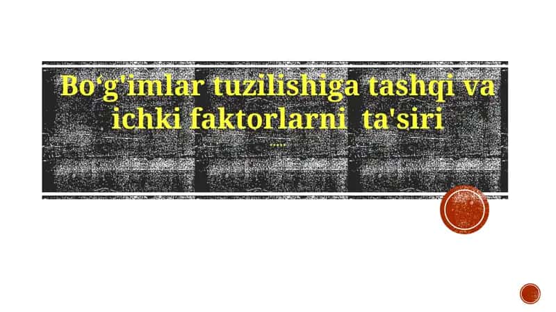 Bo‘g'imlar tuzilishiga ta'sir qiluvchi omillar 1