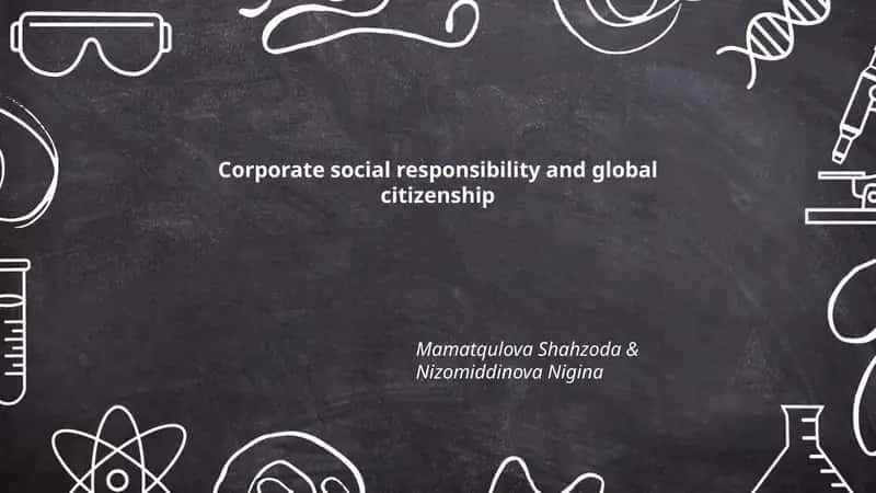 Corporate social responsibility and global citizenship 1