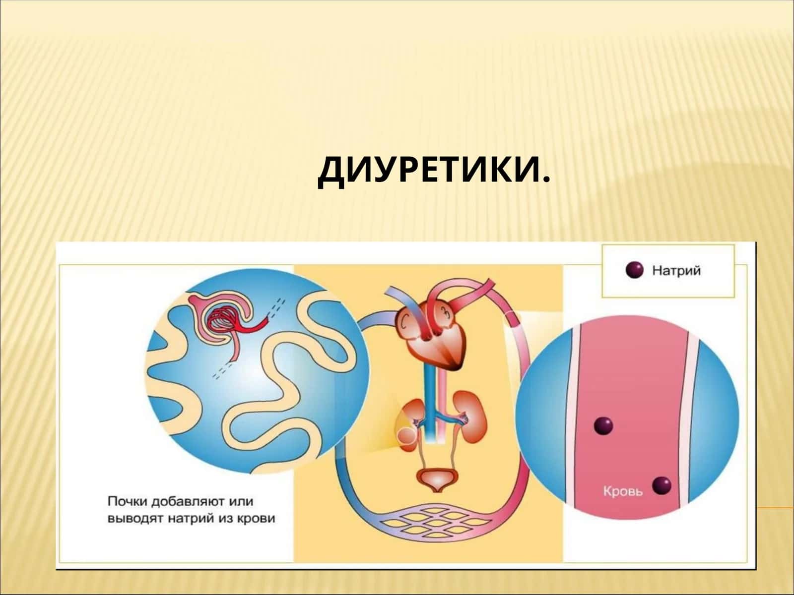 ДИУРЕТИКИ 1