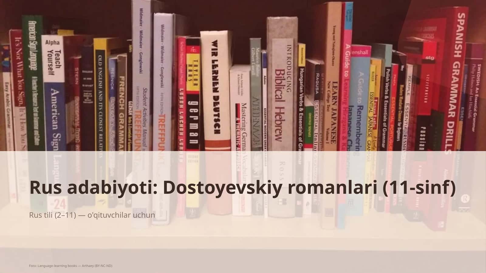 Rus adabiyoti: Dostoyevskiy romanlari (11-sinf) 1