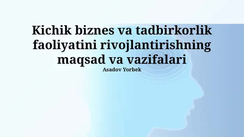 Kichik biznes va tadbirkorlik faoliyatini rivojlantirishning maqsad va vazifalari 1