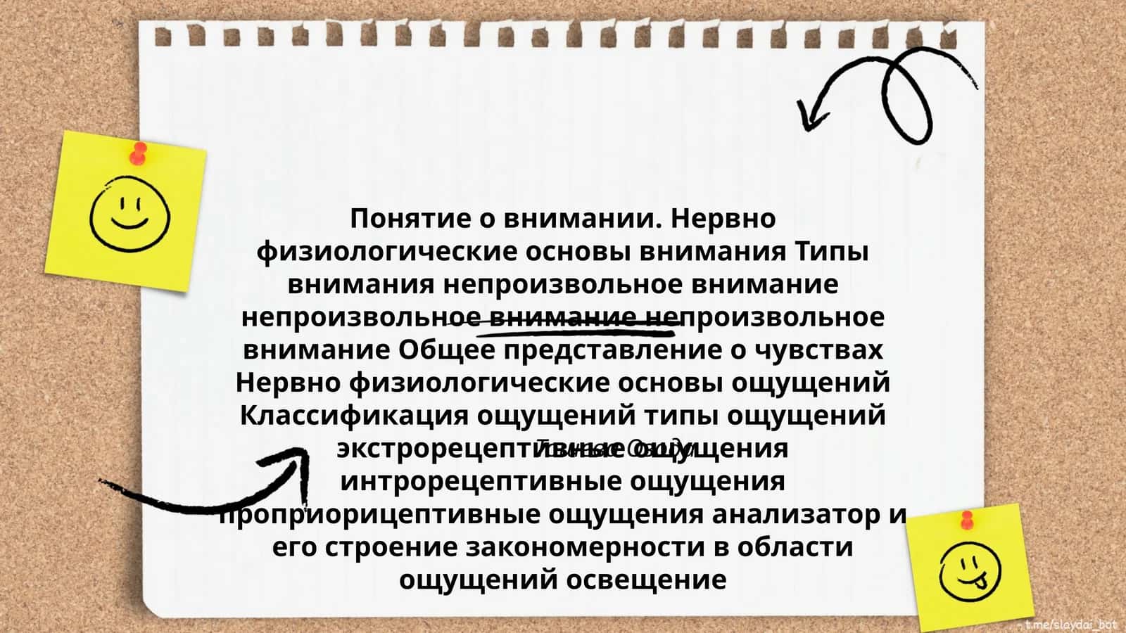 Нервно физиологические основы внимания 1