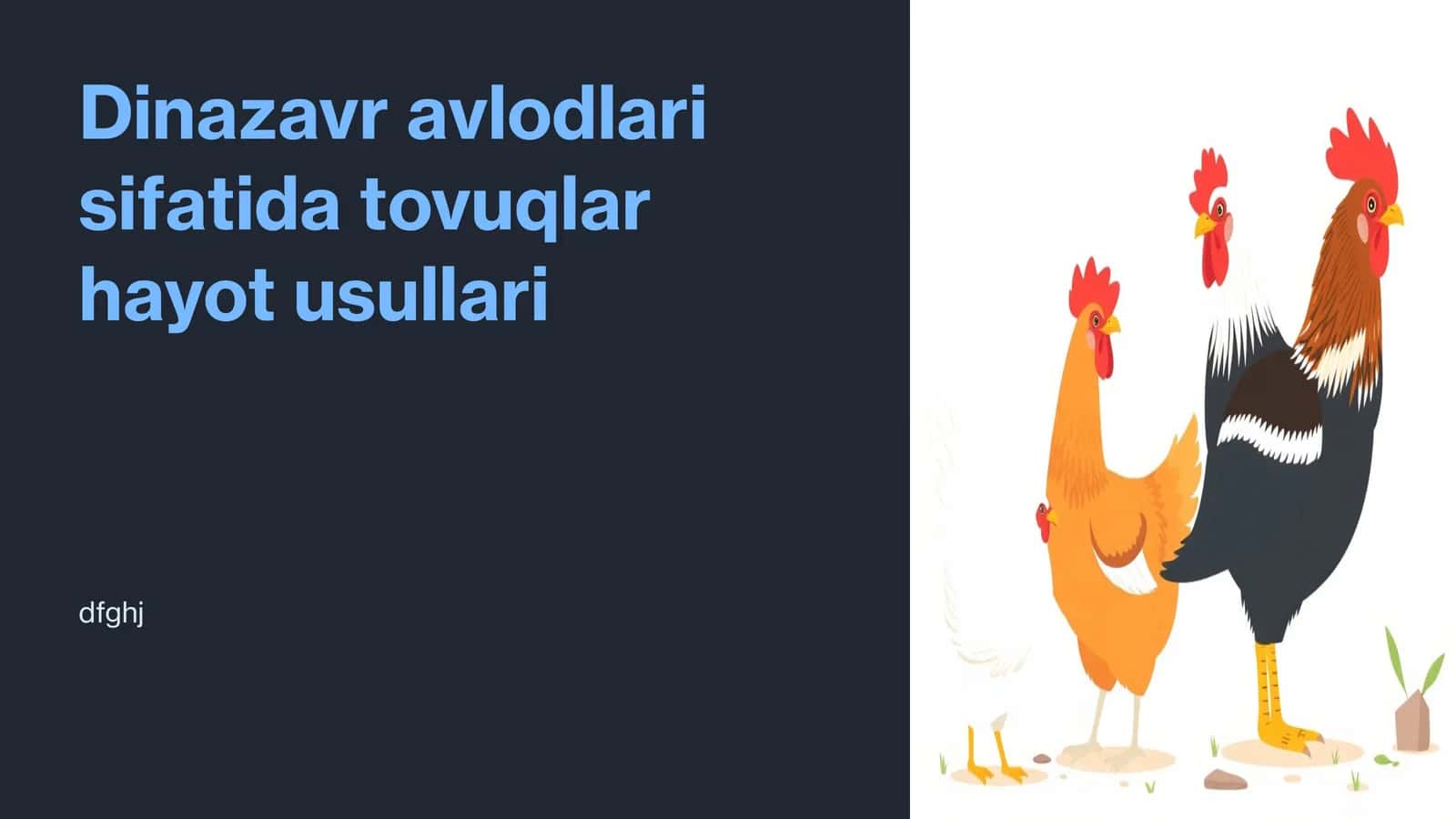 Dinazavr avlodlari sifatida tovuqlar hayot usullari 1
