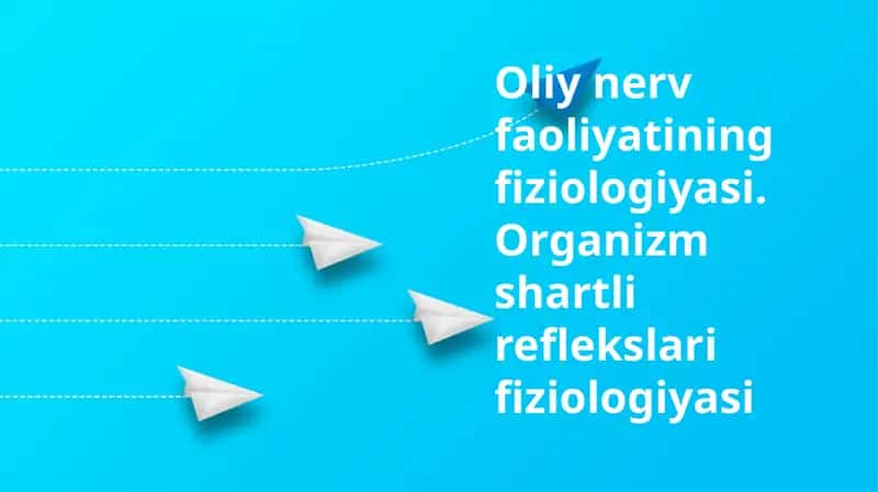 Oliy nerv faoliyatining fiziologik asoslari 1