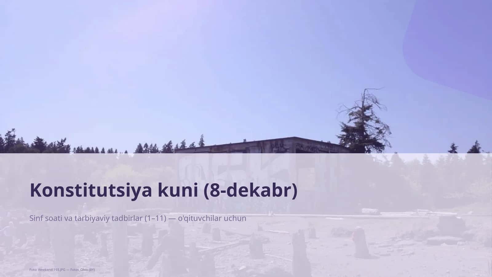 Konstitutsiya kuni (8-dekabr) mavzusi uchun dars rejasi 1