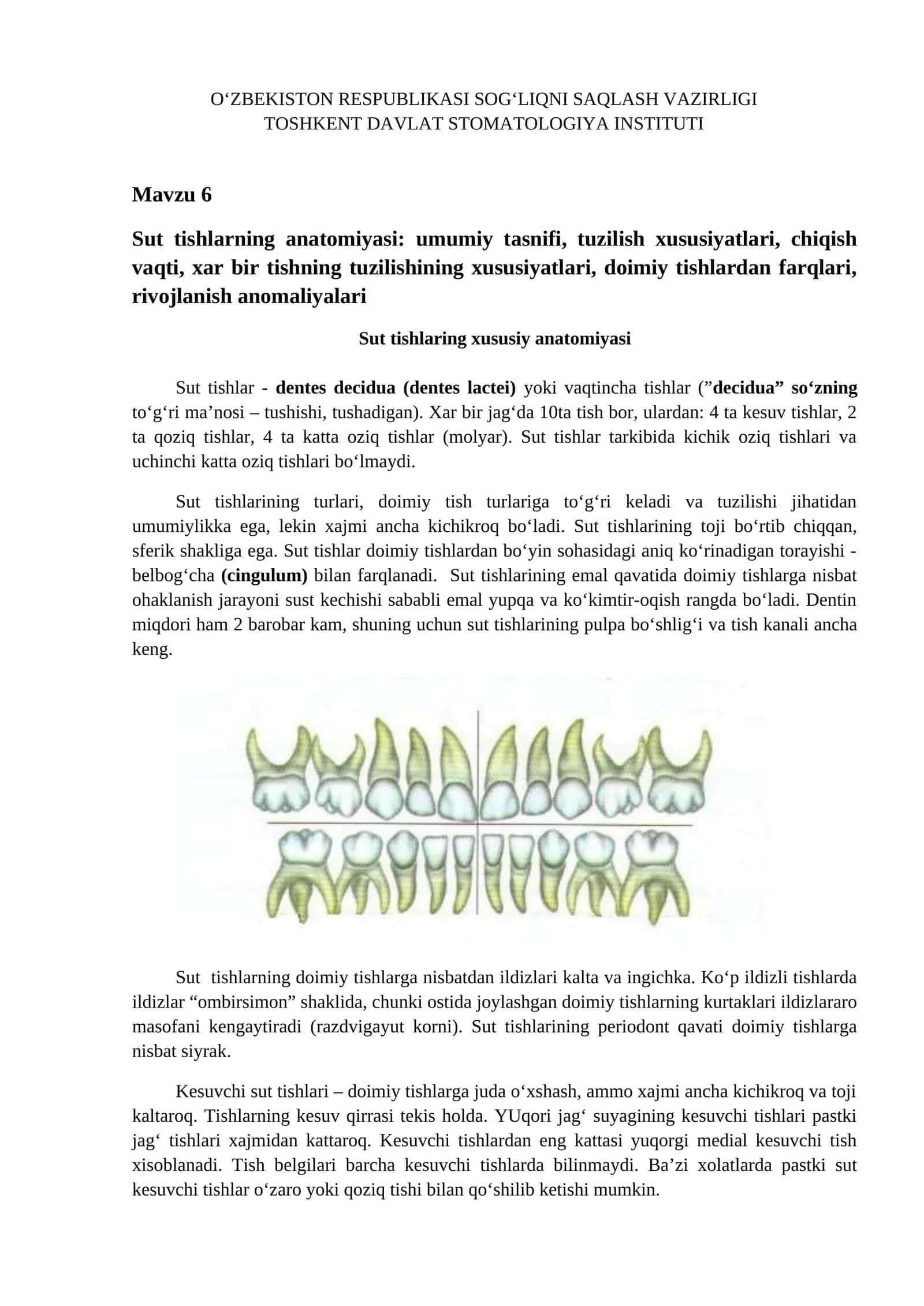 Sut tishlarning anatomiyasi 1
