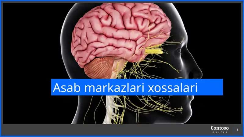 Asab markazlari xossalari 1