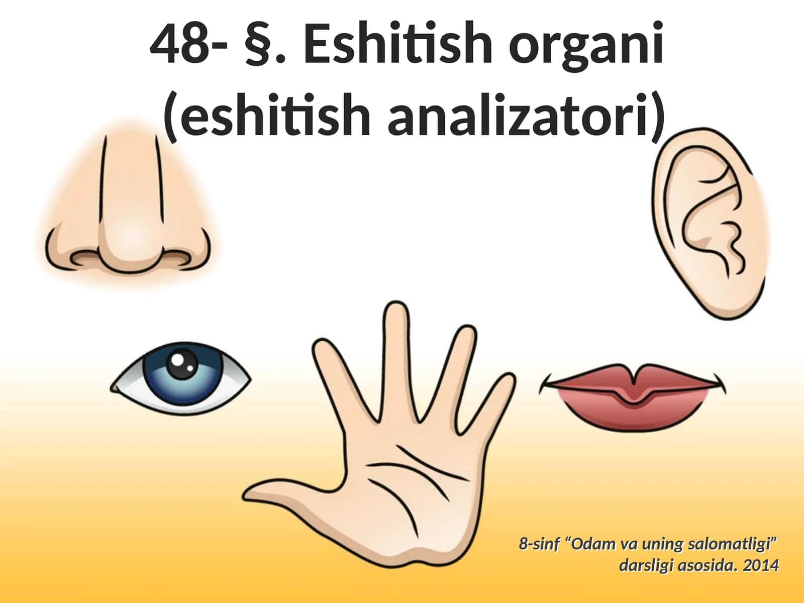 Eshitish organi (eshitish analizatori) 1