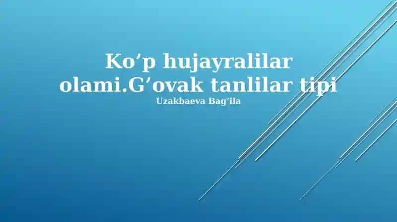 Ko'p hujayralilar olami