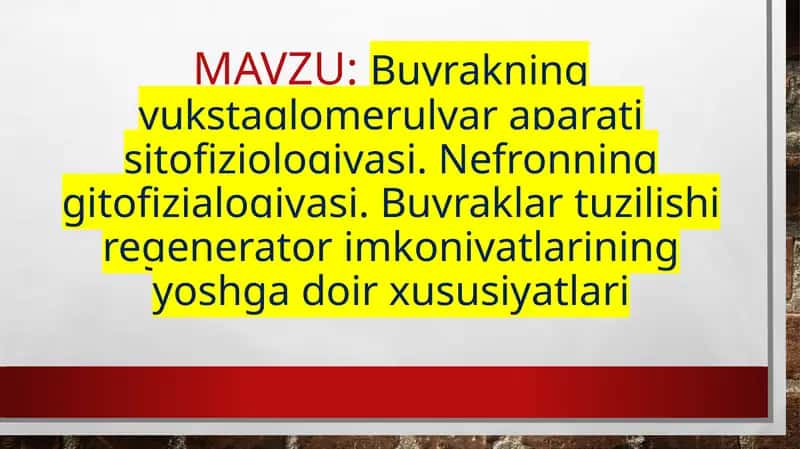Buyrakning yukstaglomerulyar aparati sitofiziologiyasi. Nefronning gitofizialogiyasi. Buyraklar tuzilishi regenerator imkoniyatlarining yoshga doir xususiyatlari 1