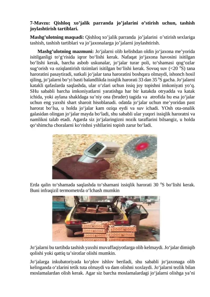 Qishloq xoʻjalik parranda joʻjalarini oʻstirish 1