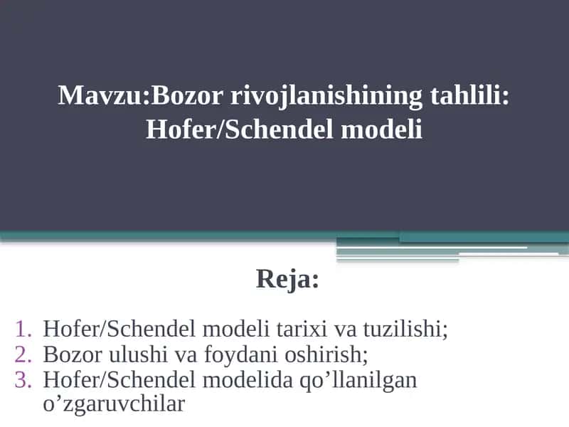 Hofer/Schendel modeli 1
