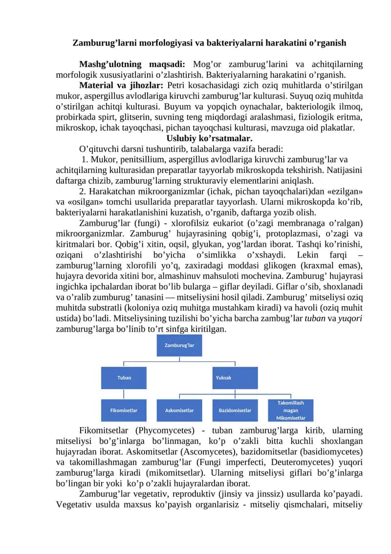 Zamburug’larni morfologiyasi va bakteriyalarni harakatini o’rganish 1