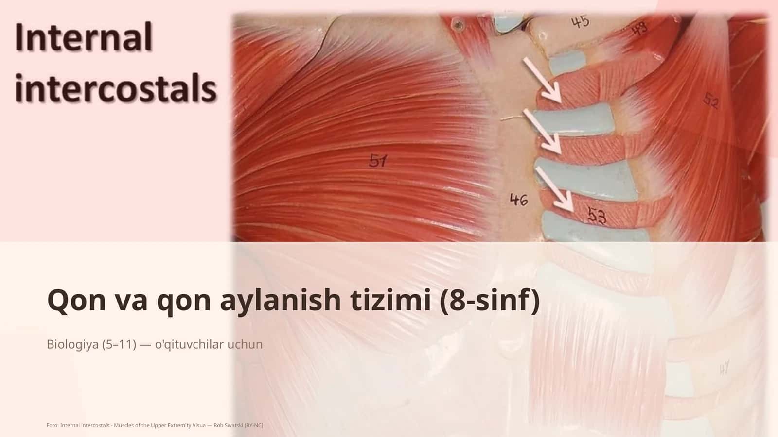 Qon va qon aylanish tizimi (8-sinf) 1