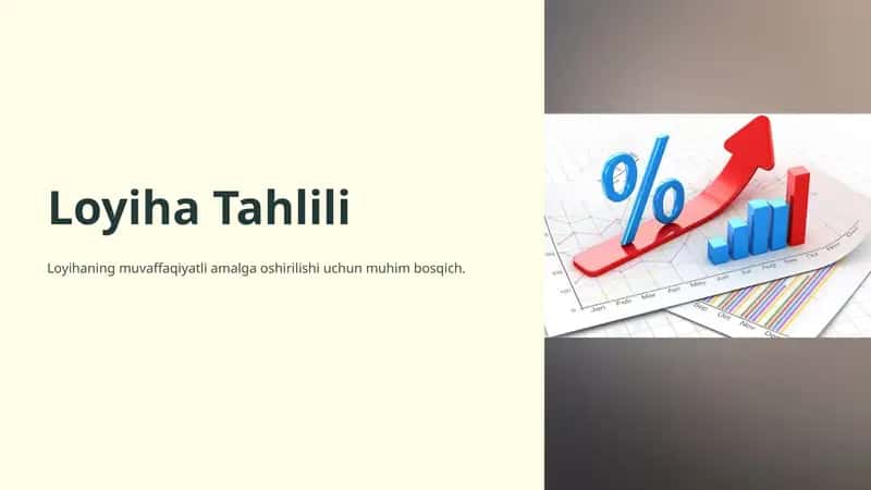 Loyiha Tahlili 1