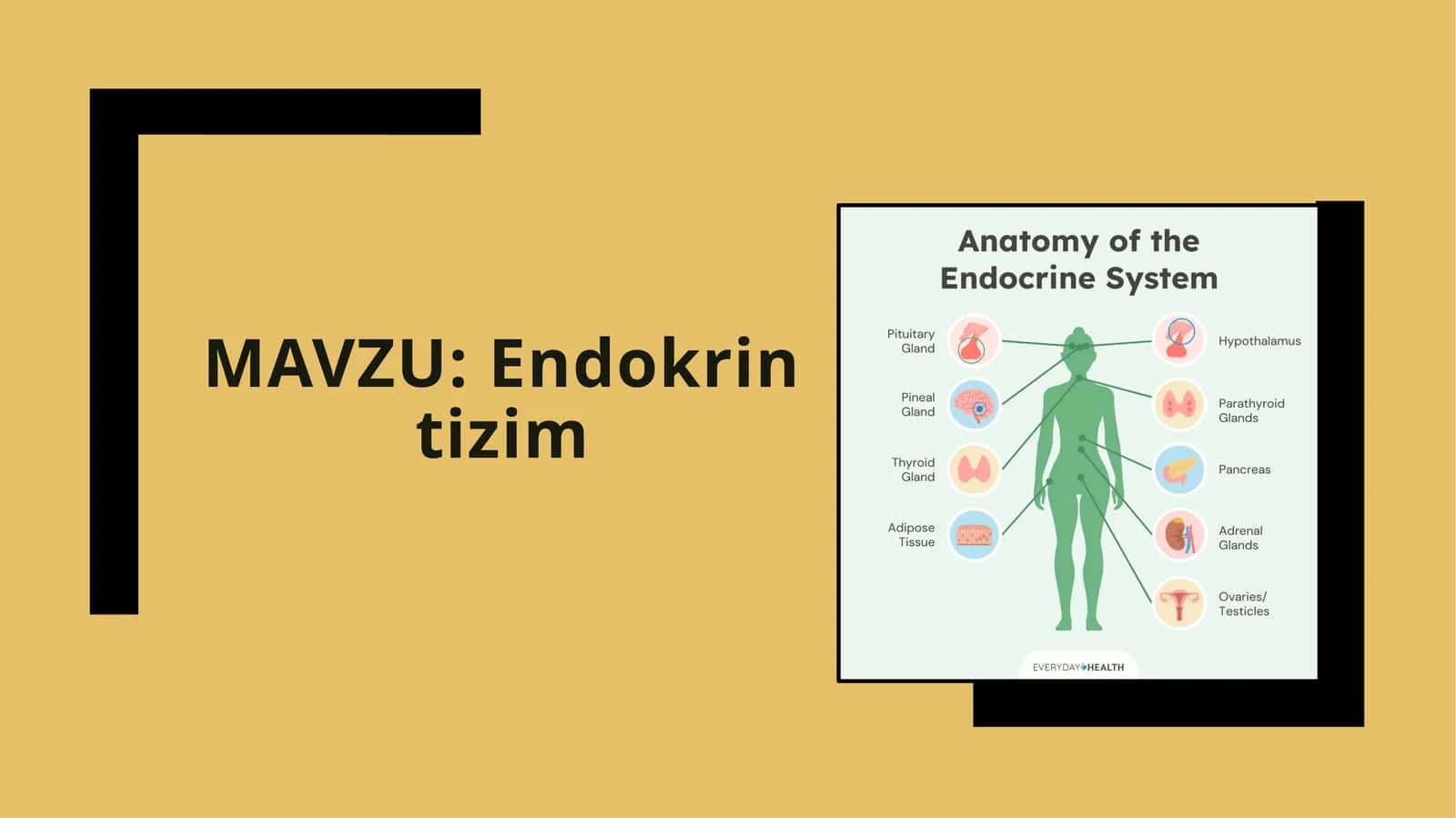 Endokrintizim 1