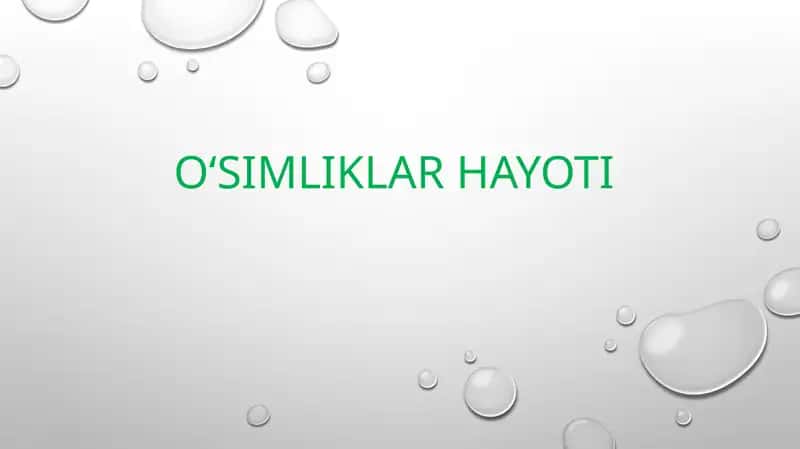 O‘simliklar hayoti 1