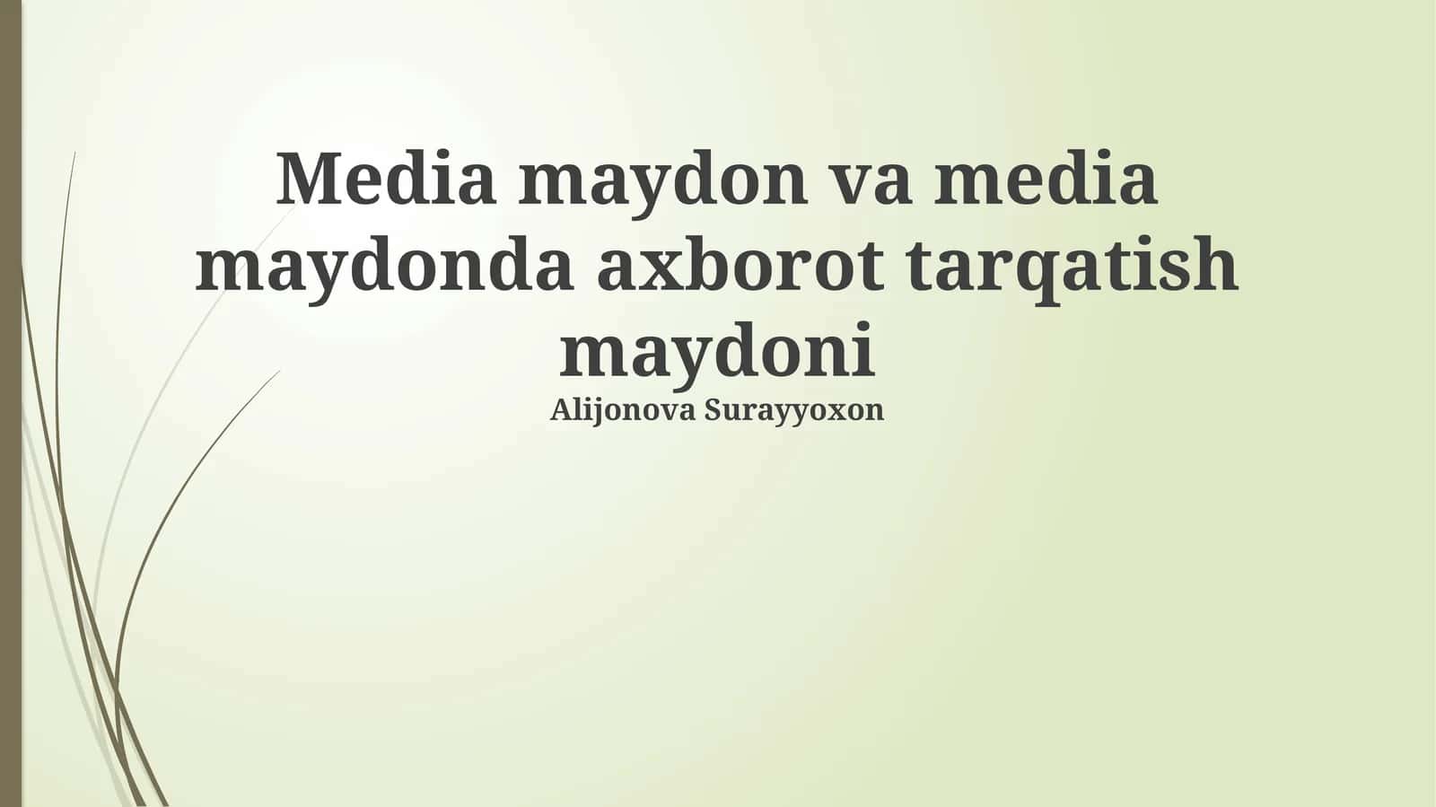 Ommaviy axborot vositalari maydoni 1