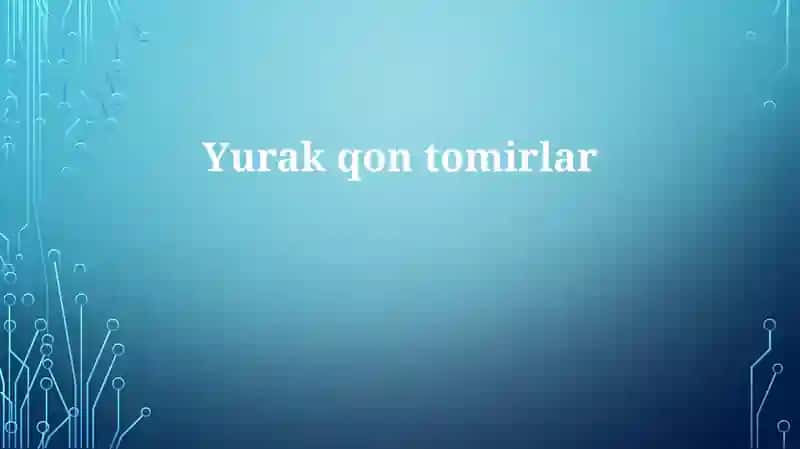 Yurak-qon tomirlar