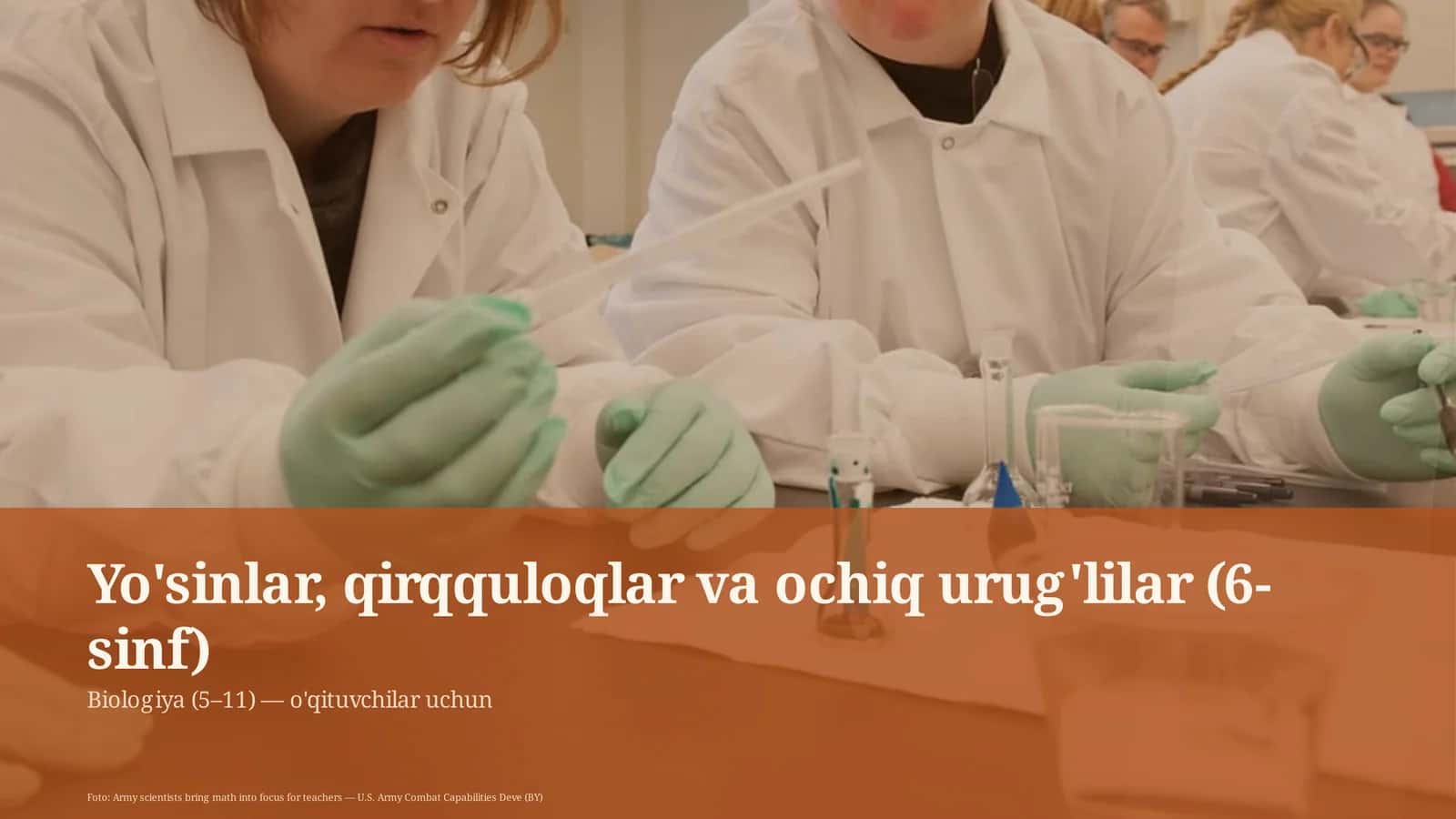 Yo'sinlar, qirqquloqlar va ochiq urug'lilar (6-sinf) 1