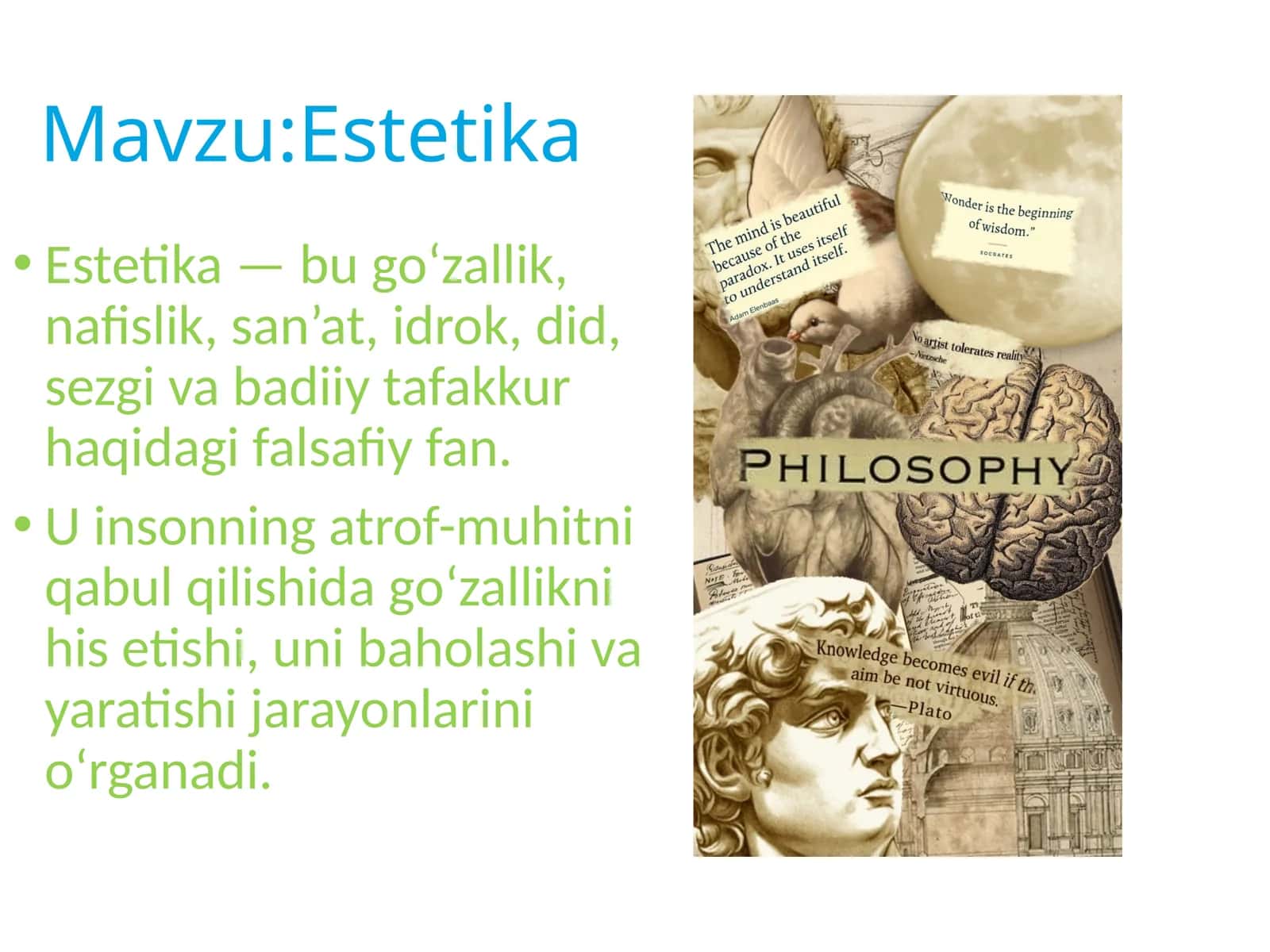 Falsafa .Estetika 1