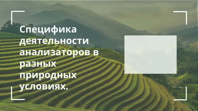Общее представление об анализаторах 1