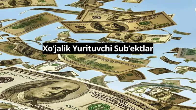 Xoʻjalik Yurituvchi Subʼektlar 1