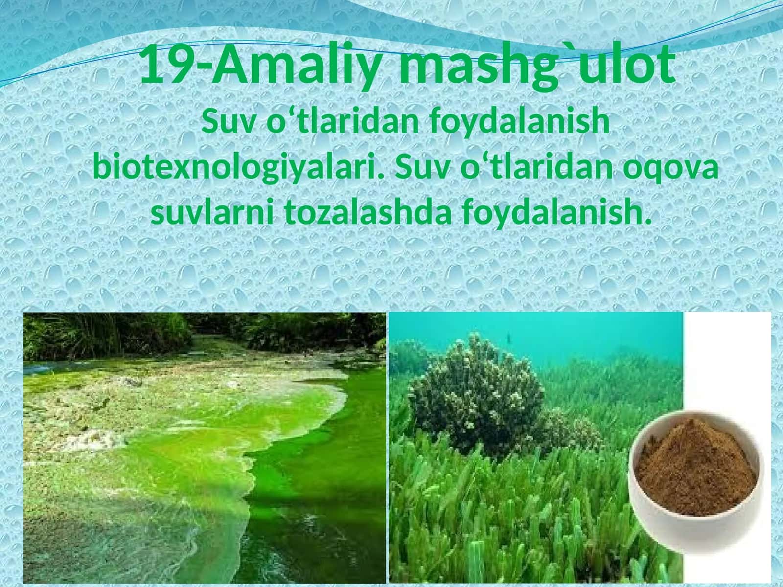 Suv o‘tlaridan foydalanish biotexnologiyalari. Suv o‘tlaridan oqova suvlarni tozalashda foydalanish 1