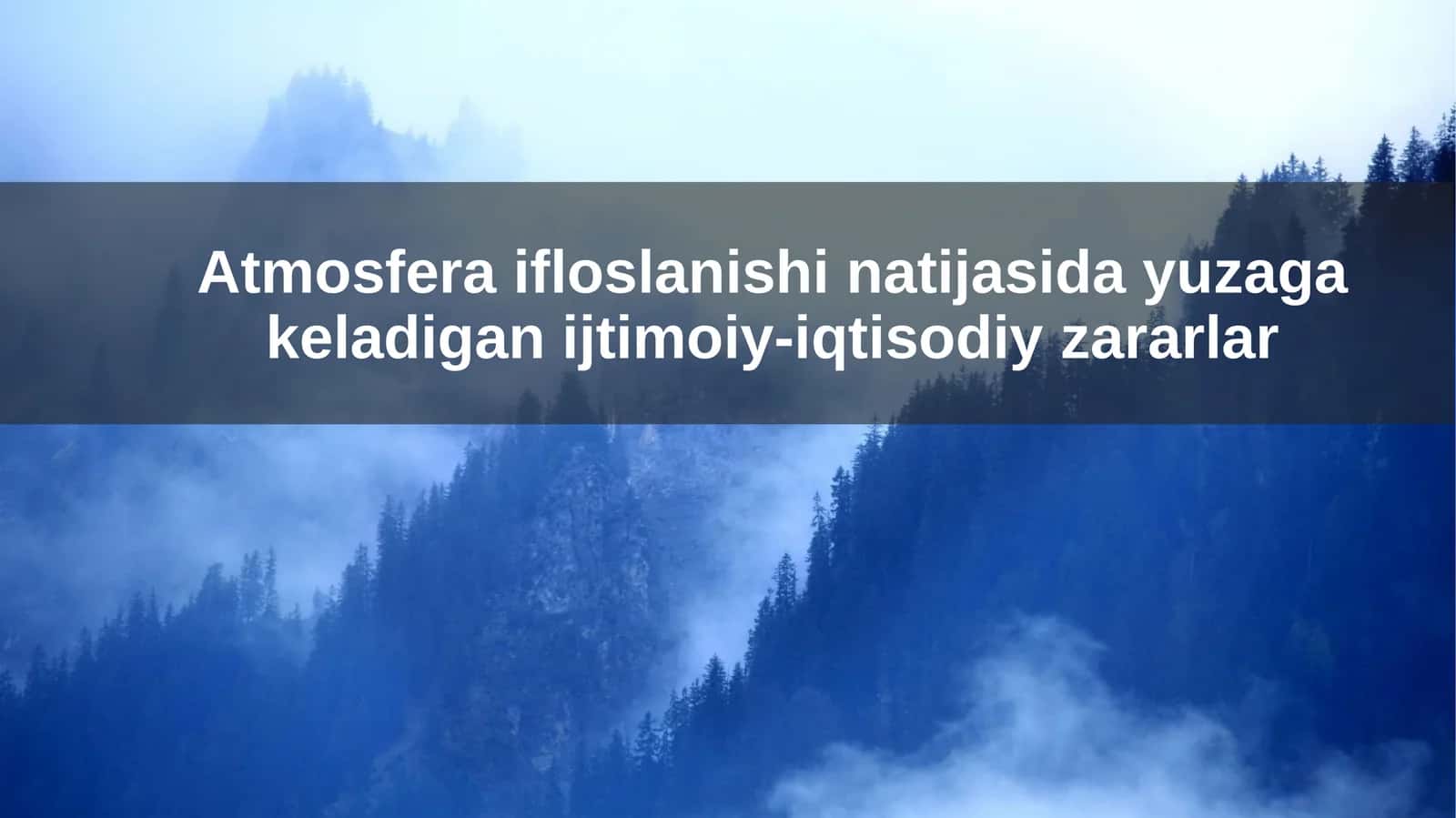 Atmosfera ifloslanishi natijasida yuzaga keladigan ijtimoiy-iqtisodiy zararlar 1