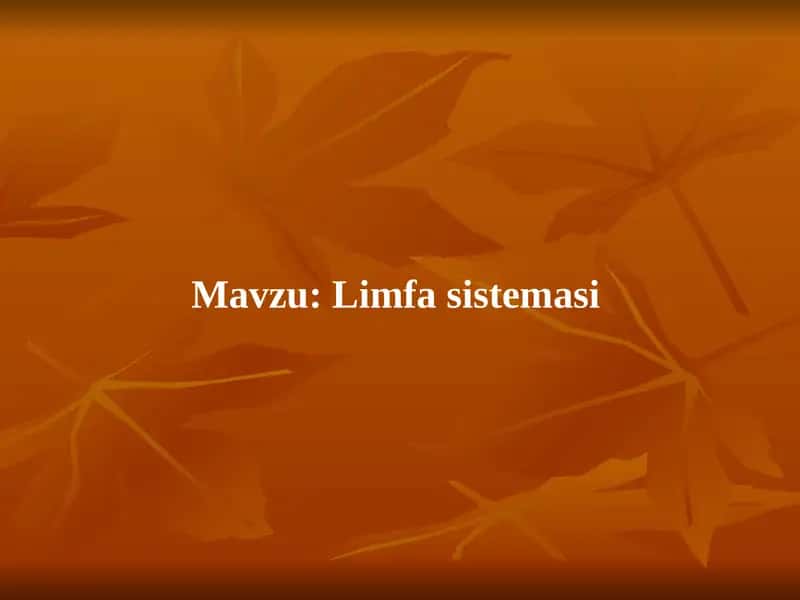 Limfa sistemasi. Slayd 1