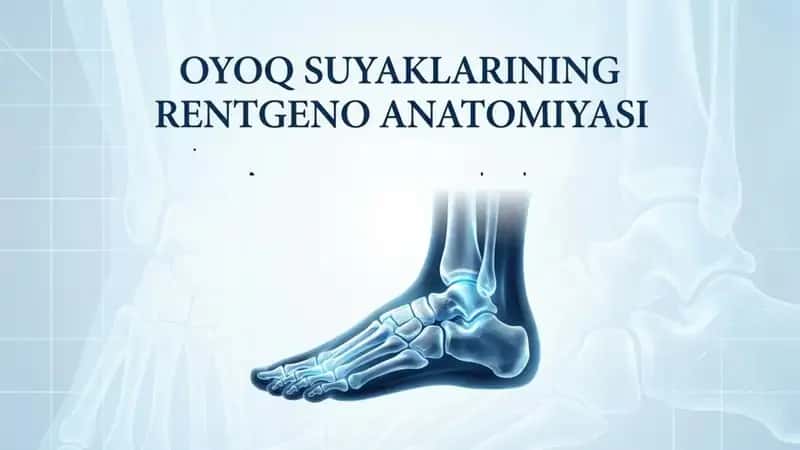 Oyoq suyaklarining rentgeno anatomiyasi 1