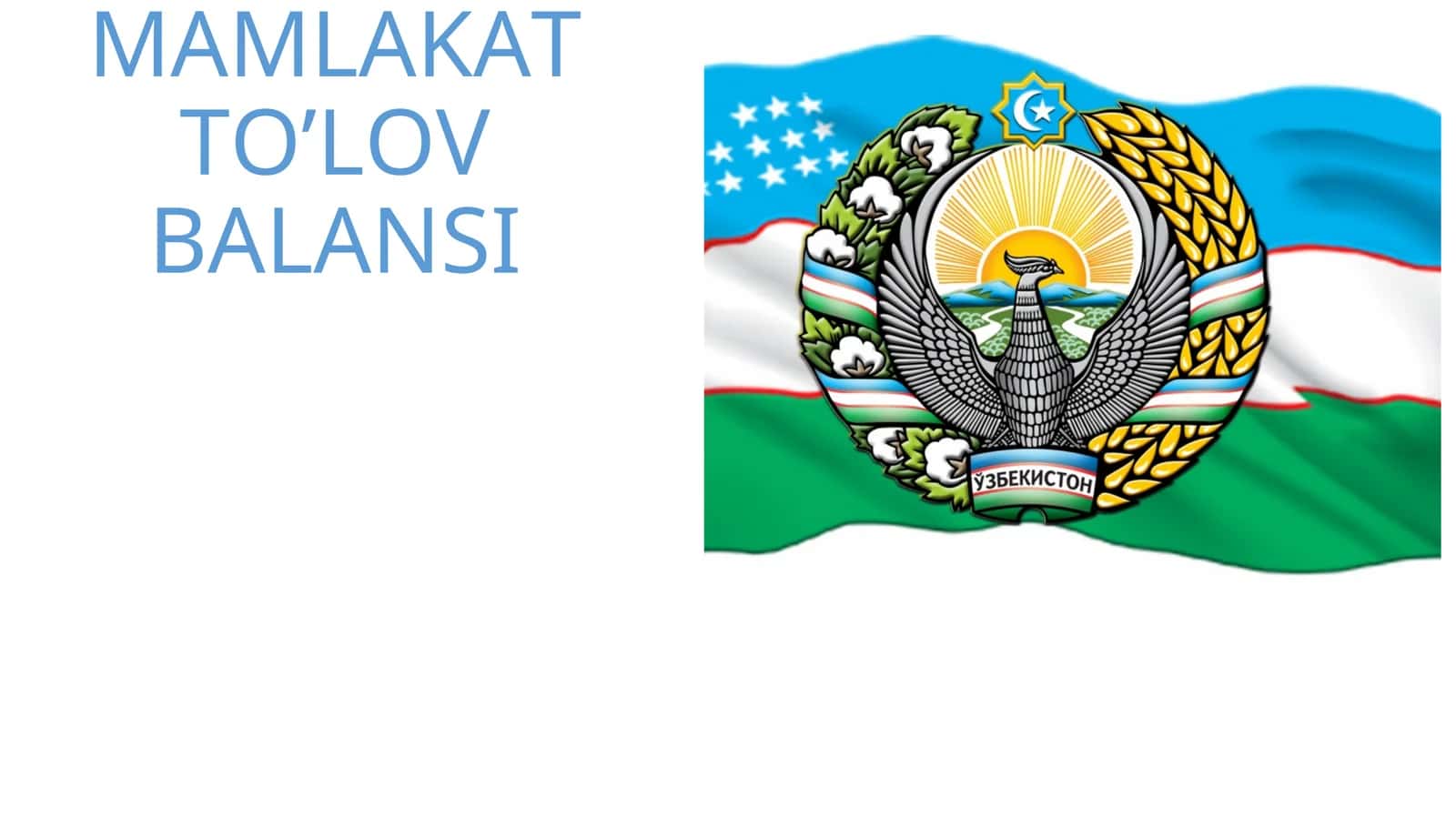 MAMLAKAT TO’LOV BALANSI 1