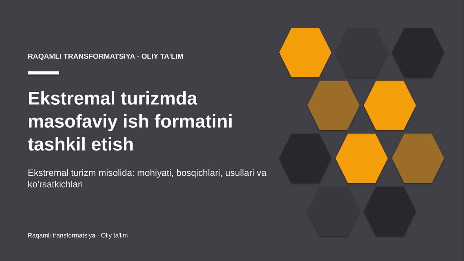 ekstremal turizmda masofaviy ish formatini tashkil etish 1033 1