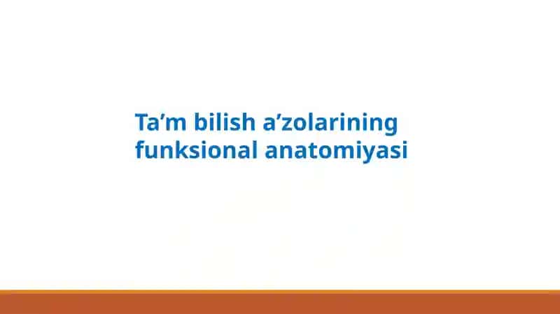 Ta’mbilisha’zolarining funksional anatomiyasi 1