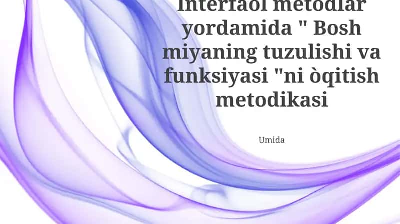 Miya tuzilmasi va funksiyasi (MTF) guruhiy loyihalari 1