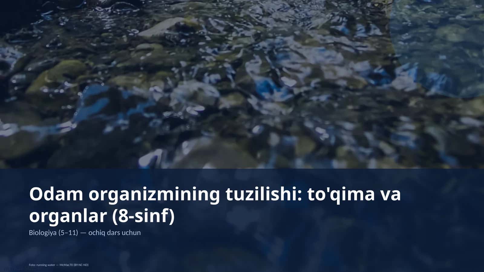 Odam organizmining tuzilishi: to'qima va organlar (8-sinf) 1