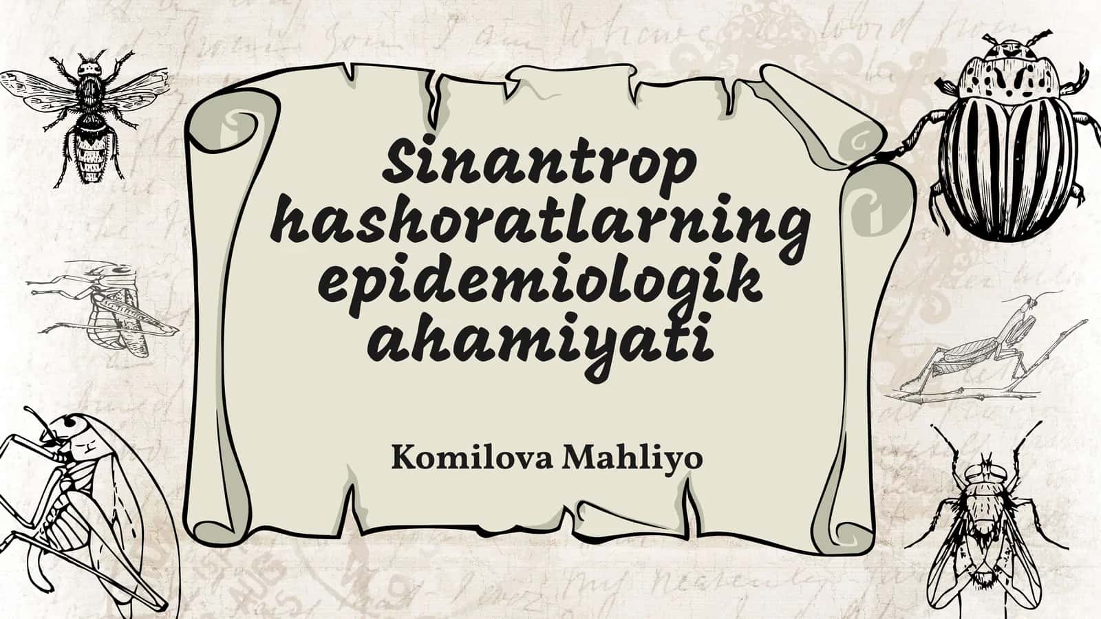 Sinantrop hashoratlarning epidemiologik ahamiyati 1