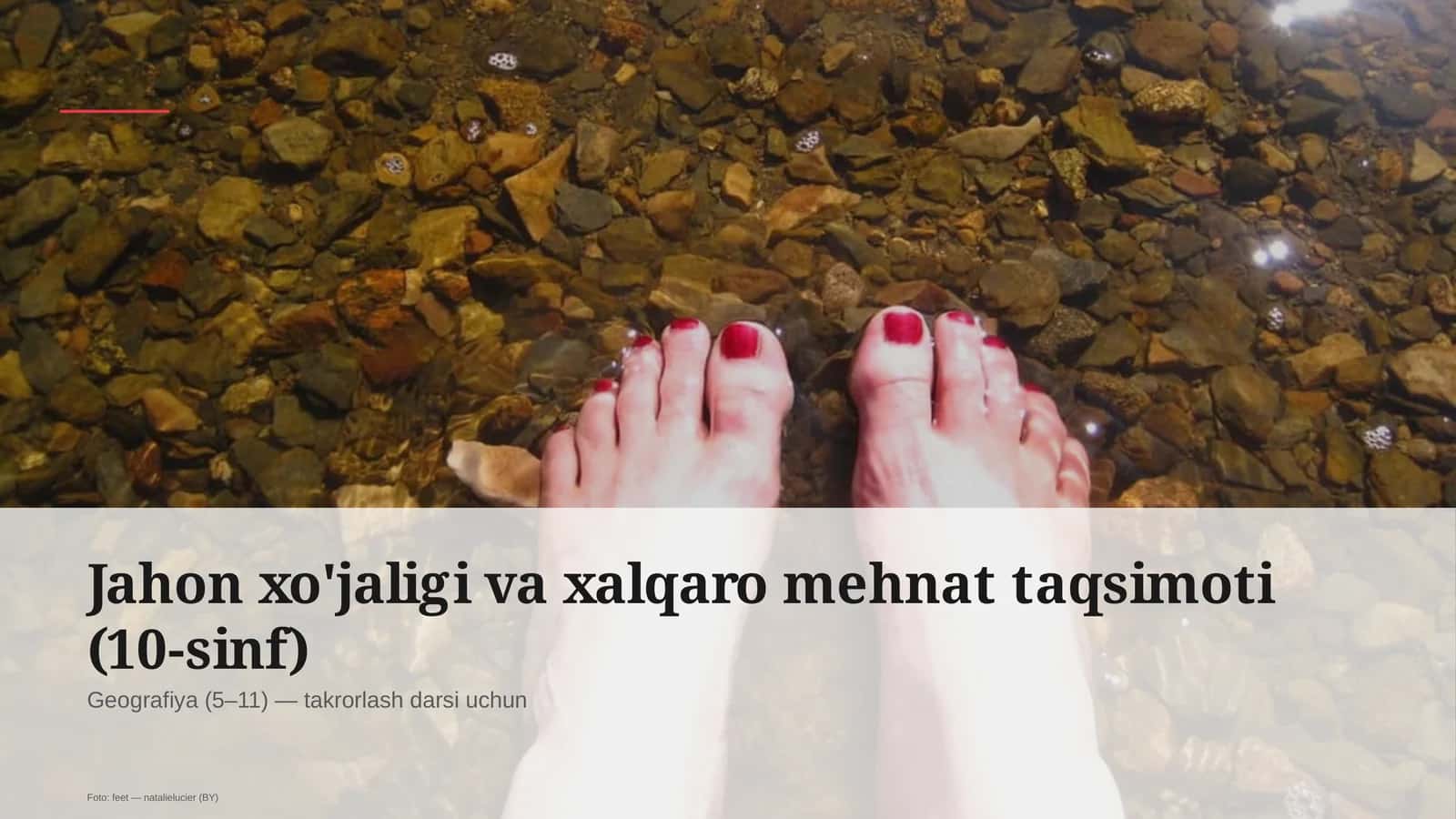 Jahon xo'jaligi va xalqaro mehnat taqsimoti (10-sinf) 1